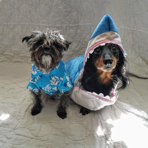 Fundraising Page: Allana Maiden